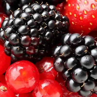 Ежевика  Ежевика в Новосибирске