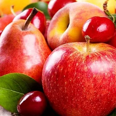 Плодовые деревья  Плодовые деревья в Новосибирске