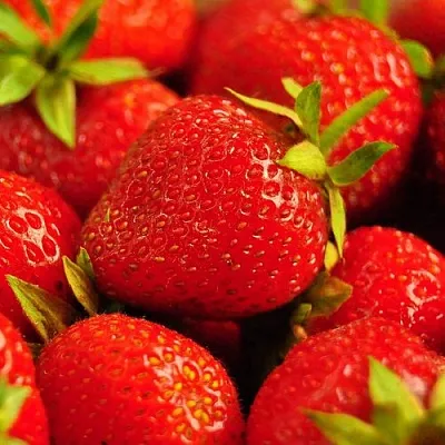 Клубника  Клубника в Новосибирске