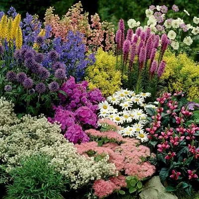 Травы в Новосибирске