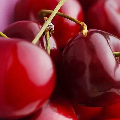 Вишня  Вишня в Новосибирске