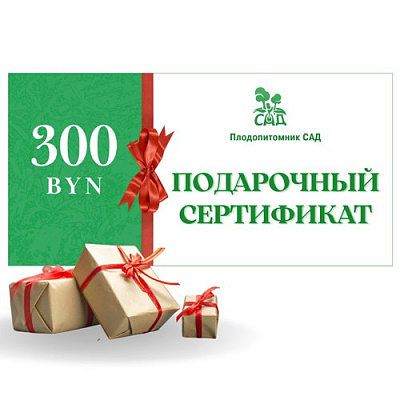 подарочный сертификат на 300 BYN